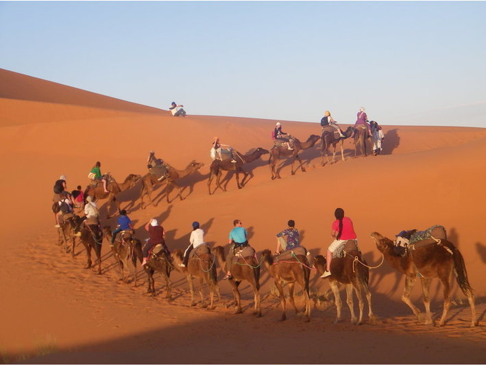 Camel Trekking Bivouac - Tours