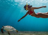 Cancun Snorkeling (1) - Agencias de viajes