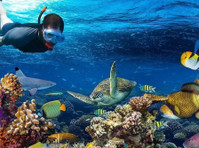 Cancun Snorkeling (3) - Agences de Voyage