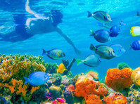 Cancun Snorkeling (4) - Matkatoimistot