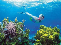 Cancun Snorkeling (5) - Agences de Voyage