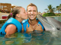 Cancun Tours (1) - Travel Agencies