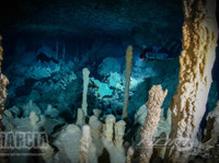 Advanced Diver Mexico (8) - Water Sports, Diving & Scuba