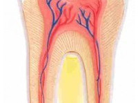 Samaritan Dental (5) - Стоматолози
