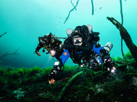 Koox Diving Playa Del Carmen (1) - Ūdens Sports un Daivings