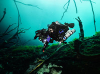 Koox Diving Playa Del Carmen (7) - Водни спортови, нуркање и рекреавтвно,Scuba нуркање  нуркање