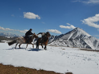 Discover Altai Mongolia (2) - Travel Agencies