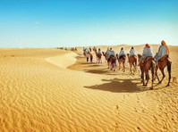 Private Desert Tours - Agências de Viagens