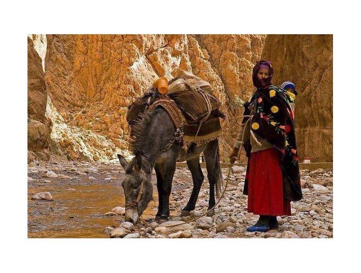 Morocco Camel Trips - City Tours