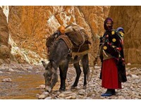 Morocco Camel Trips - سٹی ٹوئر