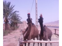 Camel Trek Tours Morocco (2) - Agentii de Turism