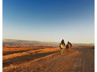 Pure Morocco Tours & Travel (1) - Agencias de viajes online