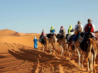 Finest Desert Tours (2) - Biura podróży
