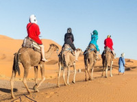 Finest Desert Tours (3) - Agências de Viagens