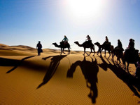 Finest Desert Tours (4) - Reisbureaus