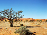 Trip Tours Namibia (3) - Туристическиe сайты