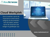 Realnetwork (1) - Réseautage & mise en réseau