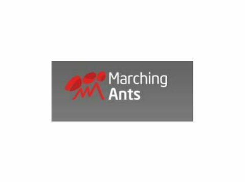 Marching Ants: Digital Marketing in Nepal - Advertising Agencies