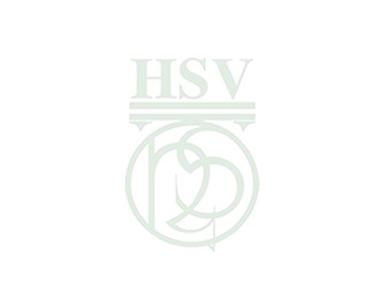 HSV/The Hague International Primary School - International schools