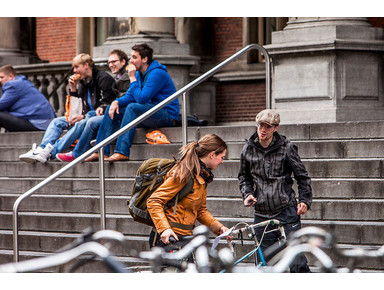 Study in Holland - Adult education