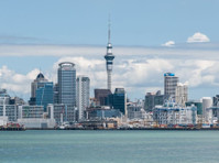 SEO Auckland Chap (1) - Advertising Agencies