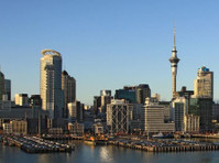 SEO Auckland Chap (3) - Advertising Agencies
