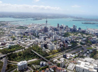 SEO Auckland Chap (4) - Advertising Agencies