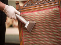 Carpet Cleaners Auckland (3) - Cleaners & Cleaning services
