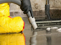 Carpet Cleaners Auckland (6) - Почистване и почистващи услуги