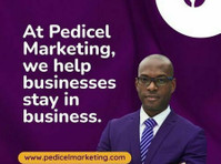 Pedicel Marketing Agency (2) - Рекламные агентства