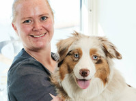 a-vet smådyrklinikk (1) - Serviços de mascotas