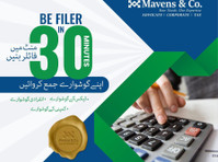 Mavens & Co. (1) - Tax advisors