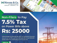 Mavens & Co. (2) - Daňový poradce