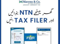 Mavens & Co. (4) - Tax advisors