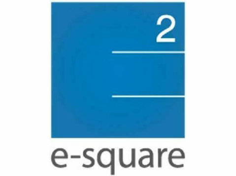 esquare (pvt) Ltd - Poradenství