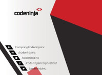 Code Ninja - Web Development Company in Lahore (3) - Уеб дизайн