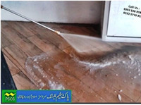 pak steam cleaning services ,islamabad (4) - Cleaners & Cleaning services
