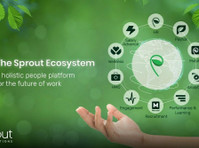 Sprout Solutions (1) - Liiketoiminta ja verkottuminen