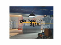 GiantSponge Digital (1) - Advertising Agencies