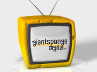 GiantSponge Digital (4) - Advertising Agencies