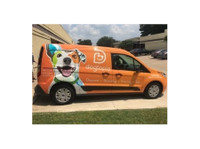 Dogtopia of Plano (1) - Services aux animaux