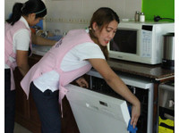 Scrubs Cleaning Services (3) - Čistič a úklidová služba
