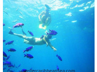 Weiler Caribbean Sea (3) - Deportes acuáticos & buceo