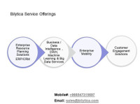 Bilytica_#1 Bi Consulting Services in Saudi Arabia (2) - Бизнес счетоводители