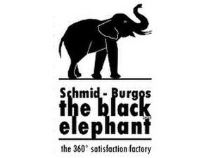 Schmid-burgos The Black Elephant Gmbh - Création d'entreprise