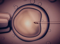 acrm.com.sg - Embryologist Singapore (1) - Ginecólogos