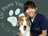 Dr Paws Vet Care - Vet clinic Singapore (1) - Servicios para mascotas