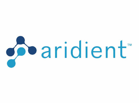 Aridient Pte Ltd - Σχεδιασμός ιστοσελίδας