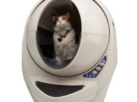 catsmart (3) - Pet services
