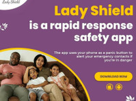 Lady Shield (6) - Безбедносни служби